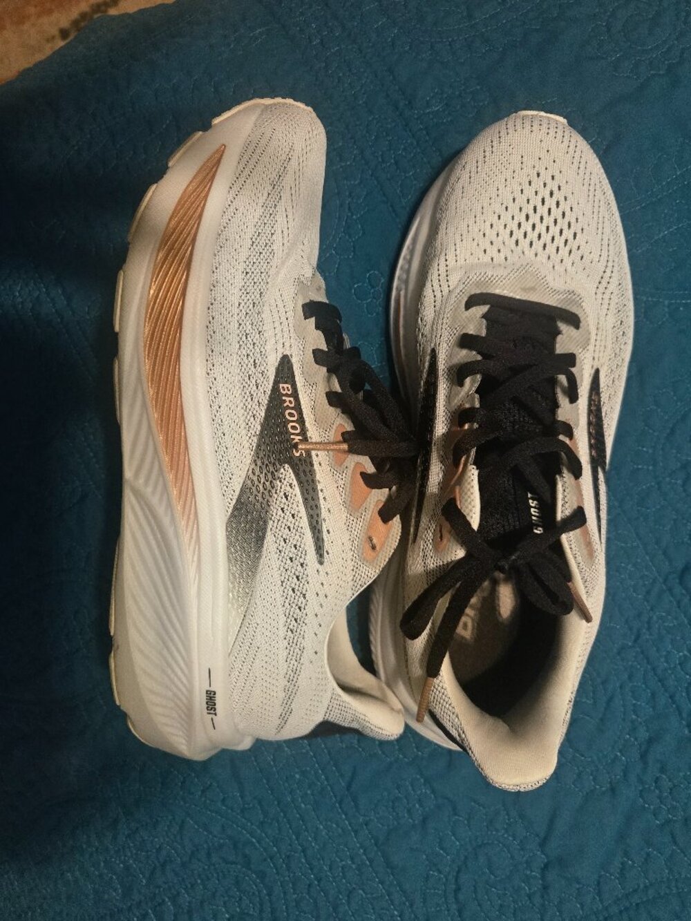 Brooks Women Ghost shoes